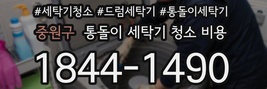 중원구 통돌이 세탁기 청소 비용