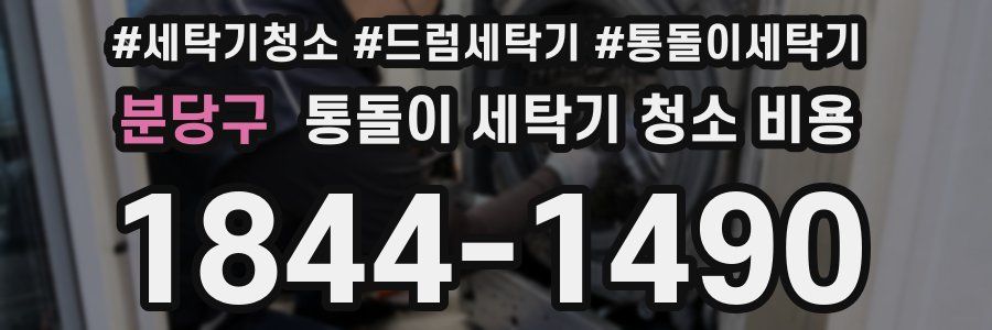 분당구 통돌이 세탁기 청소 비용