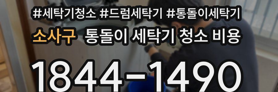 소사구 통돌이 세탁기 청소 비용