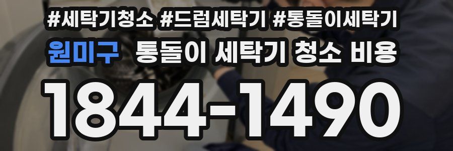 원미구 통돌이 세탁기 청소 비용