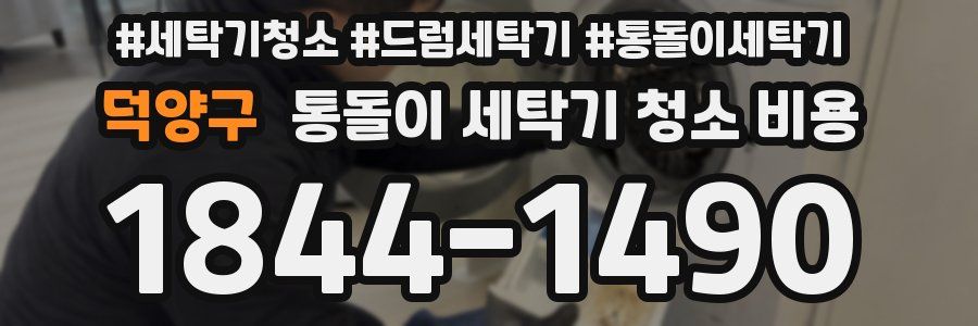 덕양구 통돌이 세탁기 청소 비용