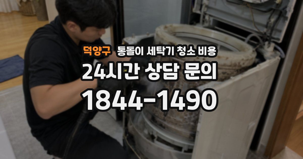 덕양구 통돌이 세탁기 청소 비용