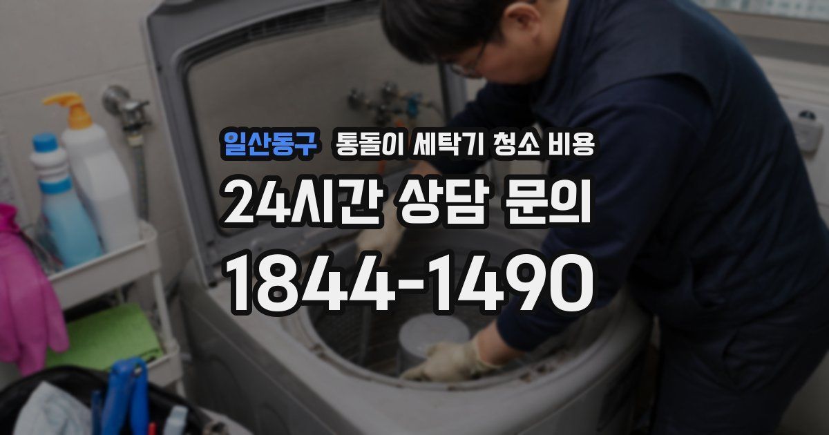 일산동구 통돌이 세탁기 청소 비용