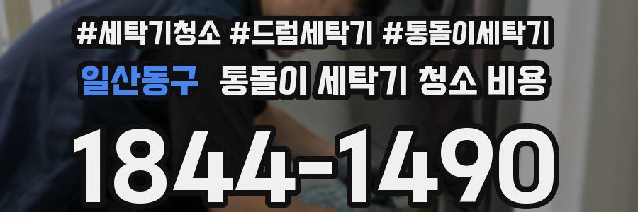 일산동구 통돌이 세탁기 청소 비용
