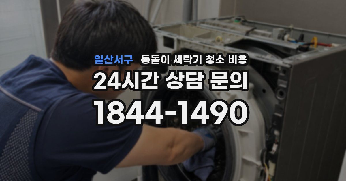 일산서구 통돌이 세탁기 청소 비용
