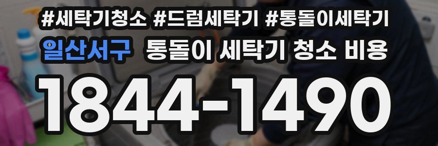 일산서구 통돌이 세탁기 청소 비용