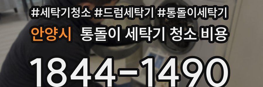 안양시 통돌이 세탁기 청소 비용
