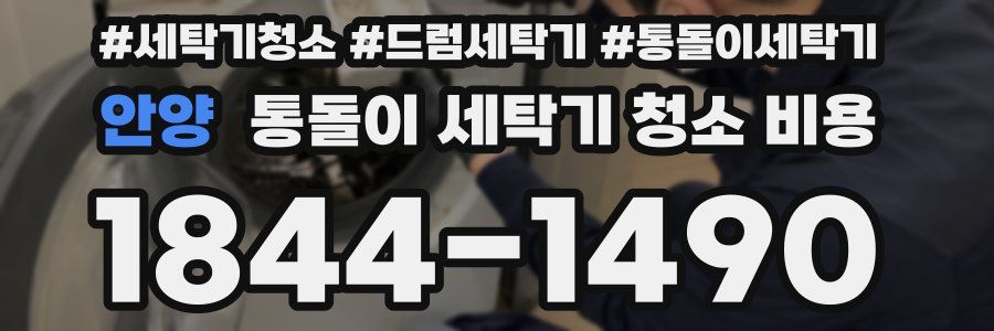 안양 통돌이 세탁기 청소 비용