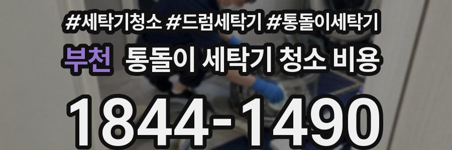 부천 통돌이 세탁기 청소 비용