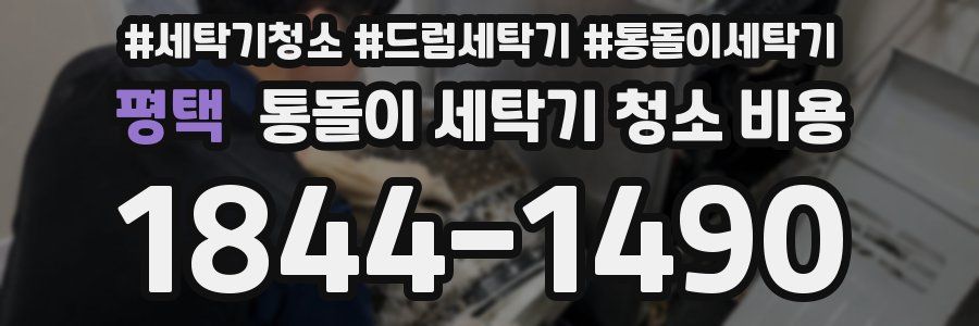 평택 통돌이 세탁기 청소 비용