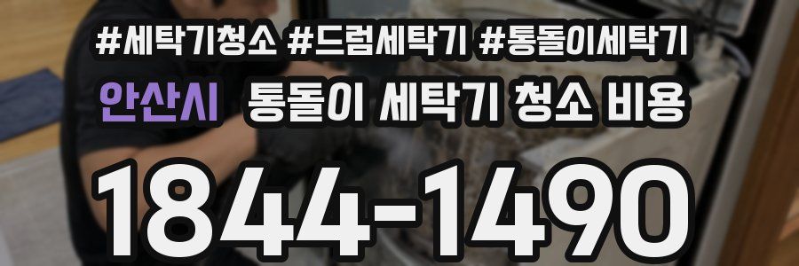 안산시 통돌이 세탁기 청소 비용