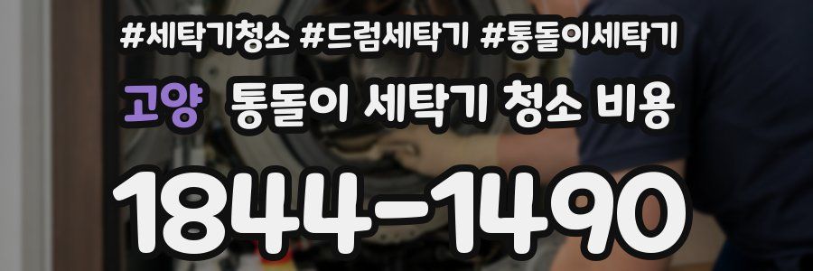 고양 통돌이 세탁기 청소 비용