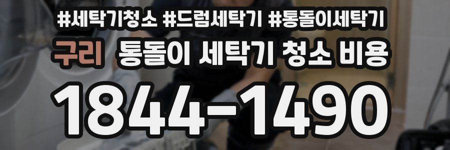 구리 통돌이 세탁기 청소 비용