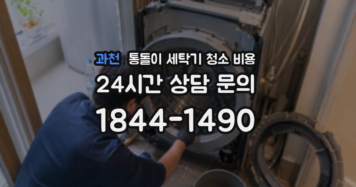 과천 통돌이 세탁기 청소 비용
