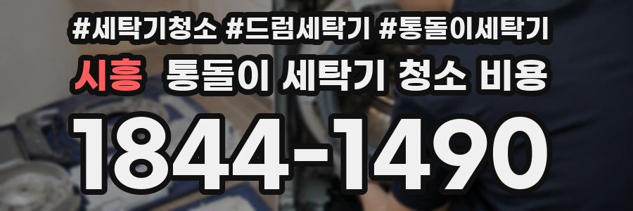 시흥 통돌이 세탁기 청소 비용