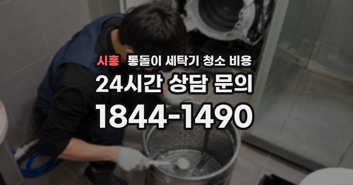 시흥 통돌이 세탁기 청소 비용