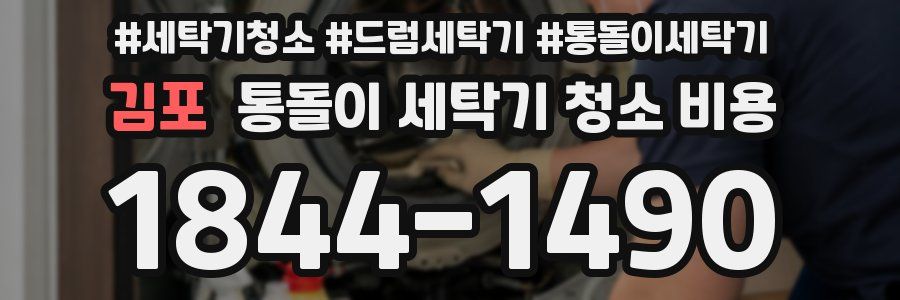 김포 통돌이 세탁기 청소 비용