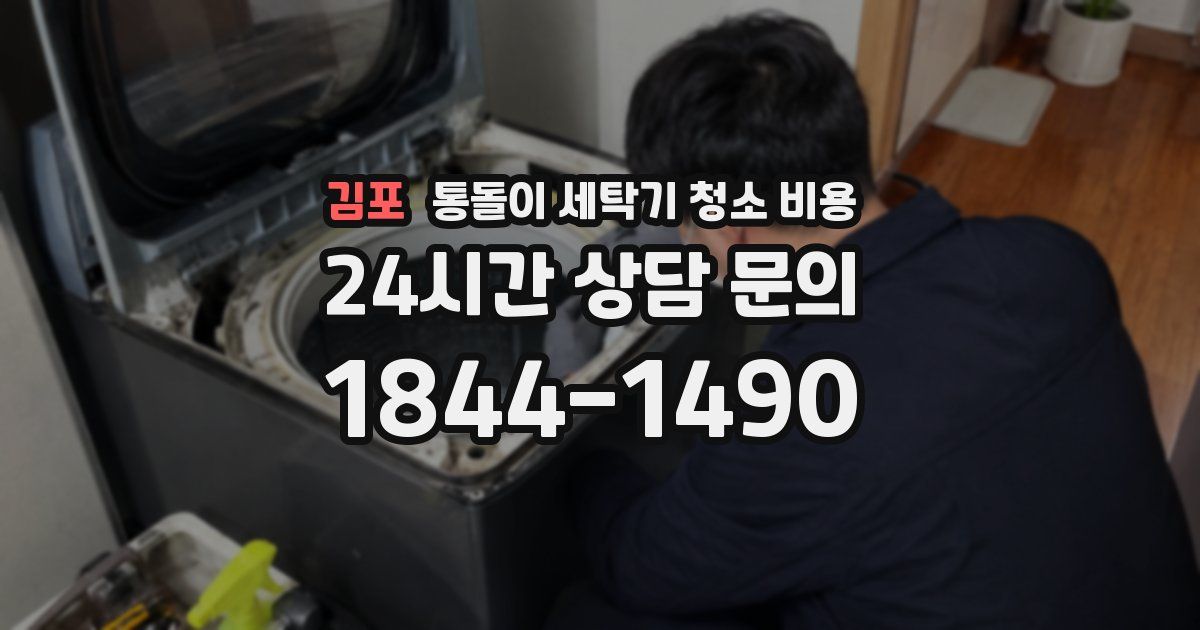 김포 통돌이 세탁기 청소 비용