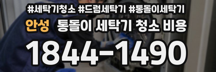 안성 통돌이 세탁기 청소 비용