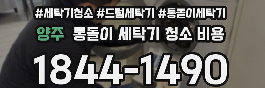 양주 통돌이 세탁기 청소 비용