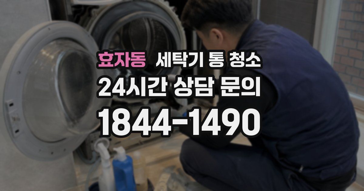 효자동 세탁기 통 청소