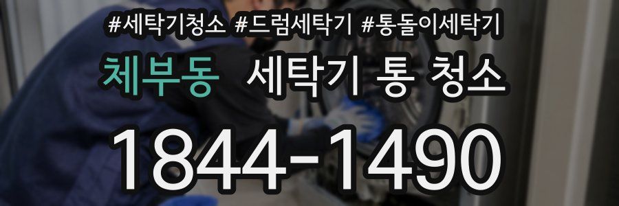 체부동 세탁기 통 청소