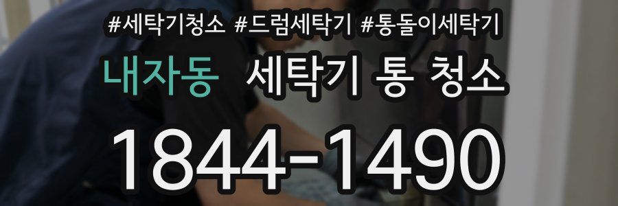 내자동 세탁기 통 청소