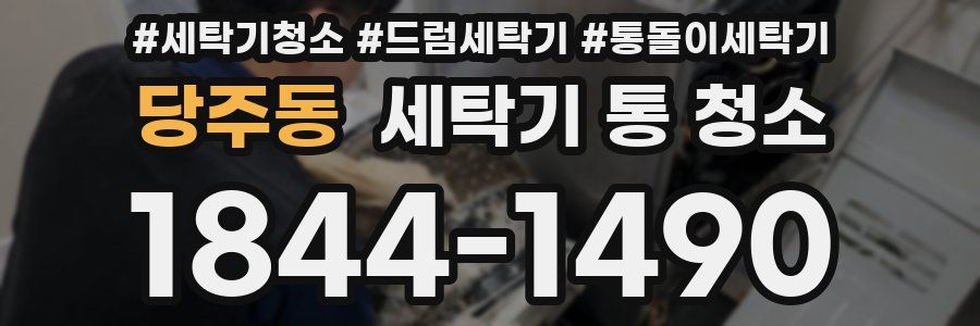 당주동 세탁기 통 청소