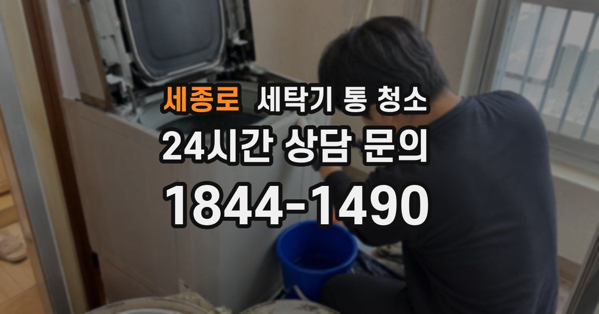 세종로 세탁기 통 청소