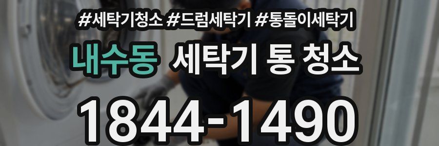 내수동 세탁기 통 청소