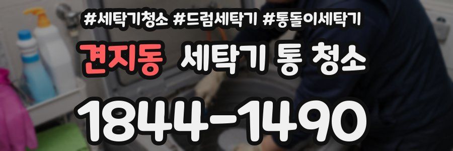 견지동 세탁기 통 청소