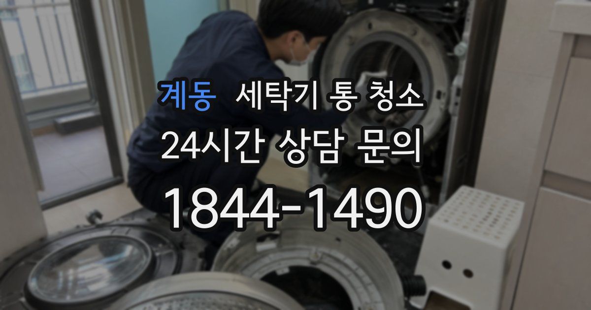 계동 세탁기 통 청소