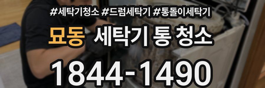 묘동 세탁기 통 청소