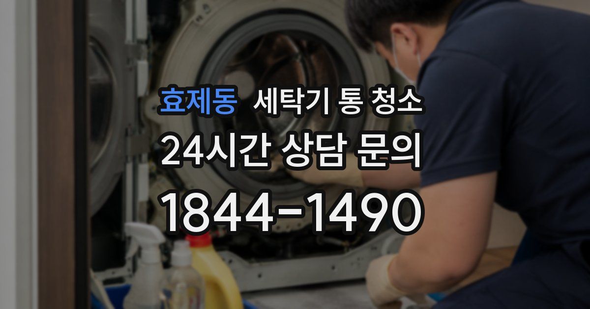 효제동 세탁기 통 청소