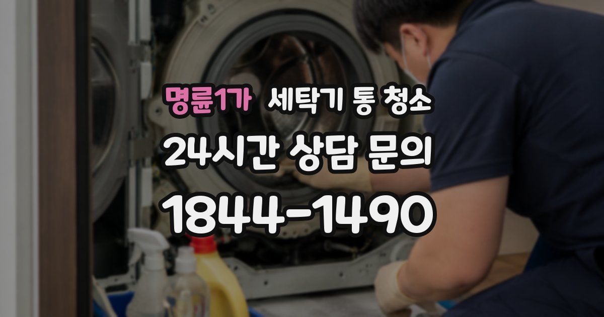 명륜1가 세탁기 통 청소