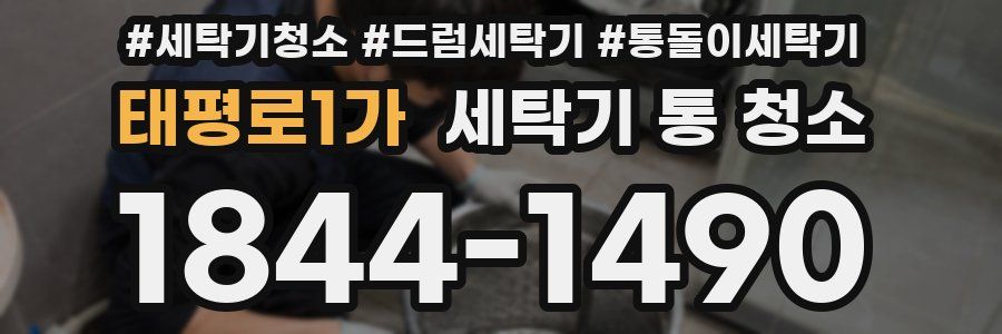 태평로1가 세탁기 통 청소