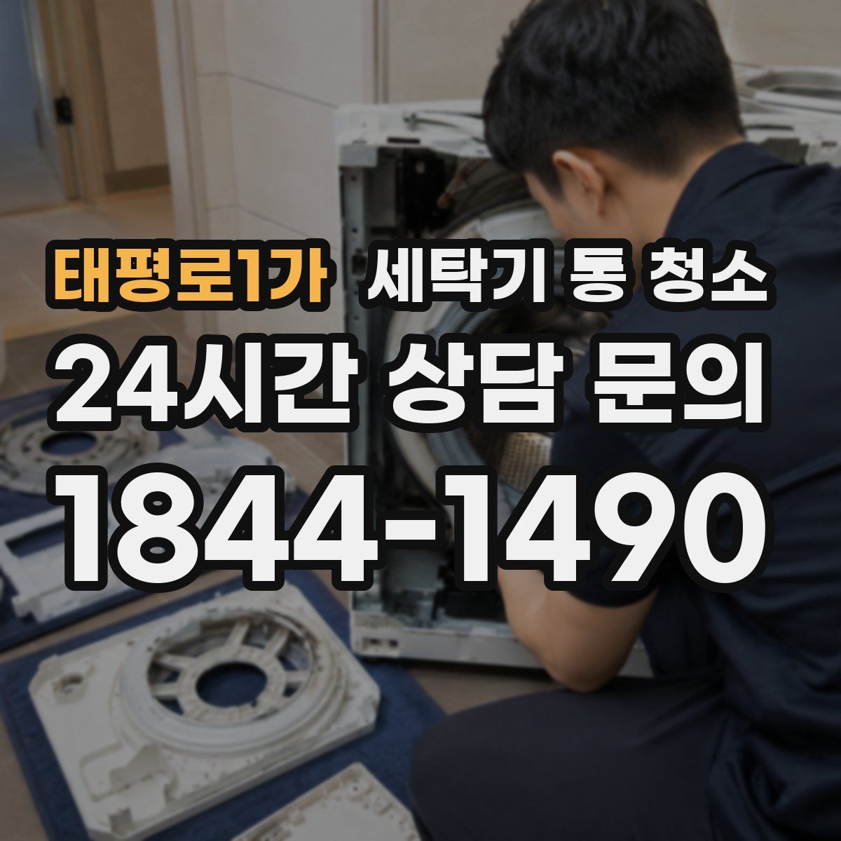 태평로1가 세탁기 통 청소