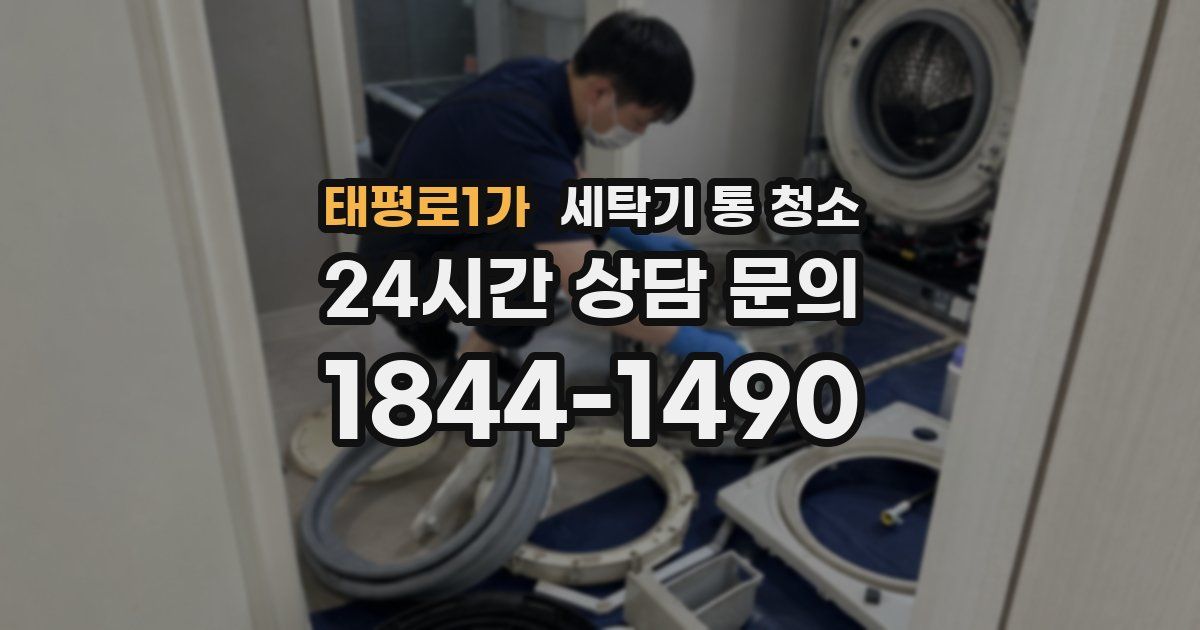 태평로1가 세탁기 통 청소