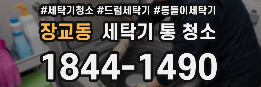장교동 세탁기 통 청소