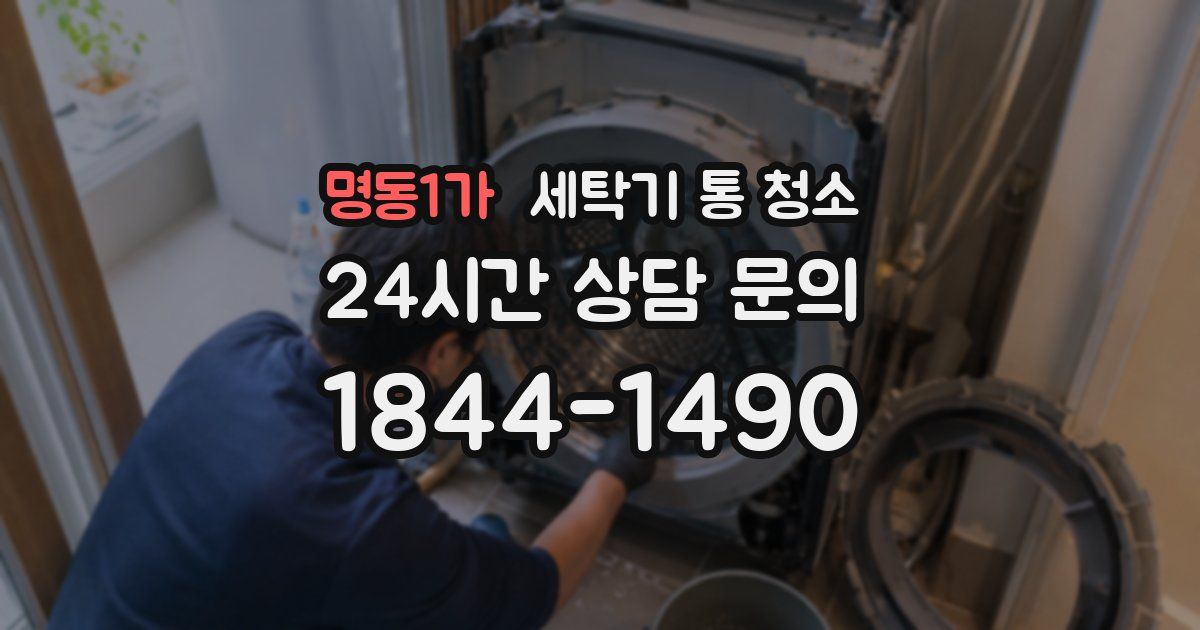 명동1가 세탁기 통 청소