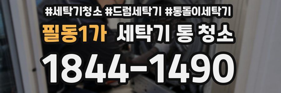 필동1가 세탁기 통 청소