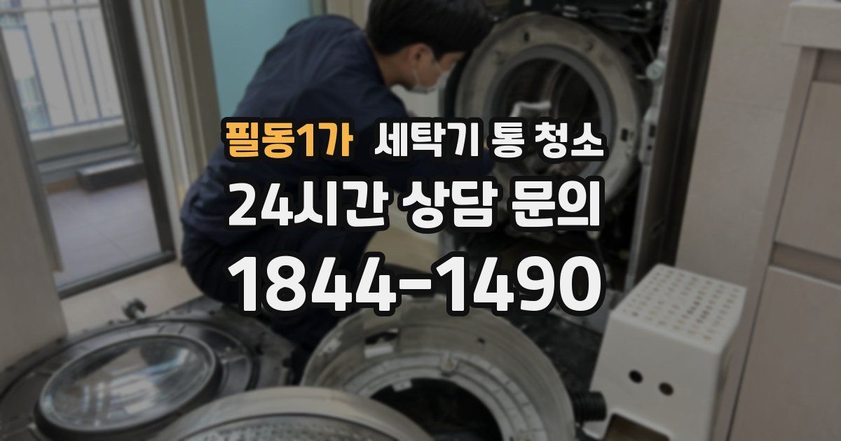 필동1가 세탁기 통 청소