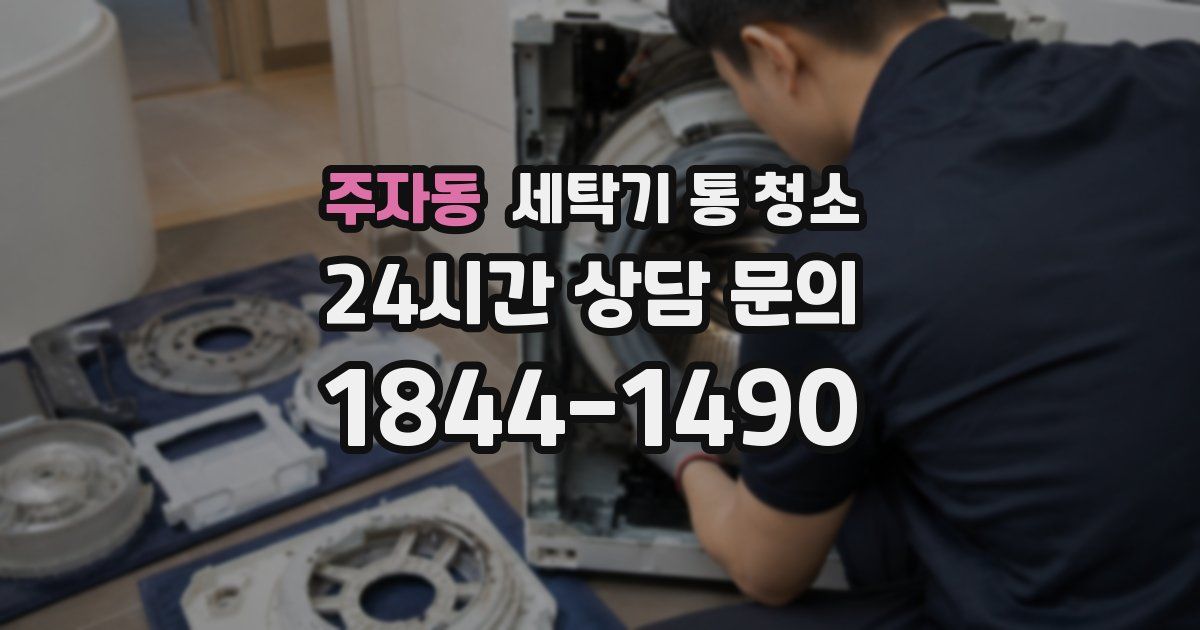 주자동 세탁기 통 청소