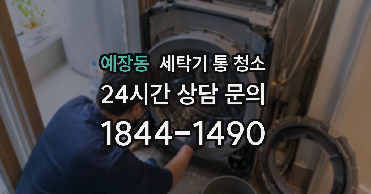 예장동 세탁기 통 청소