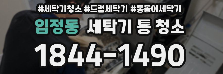 입정동 세탁기 통 청소