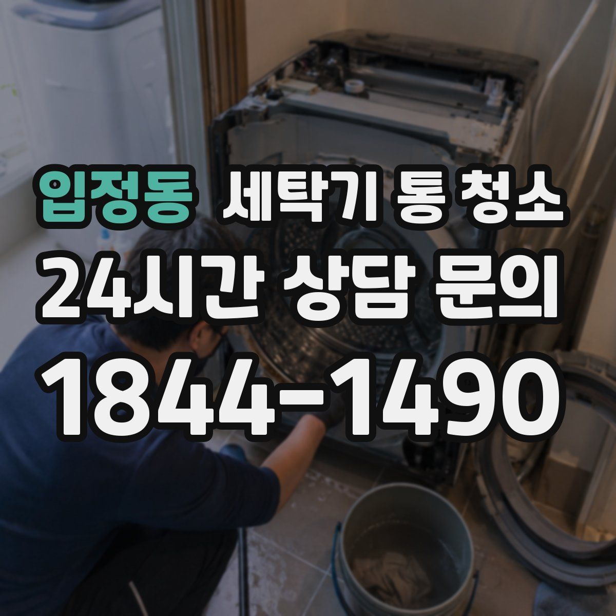 입정동 세탁기 통 청소