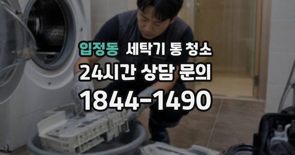 입정동 세탁기 통 청소