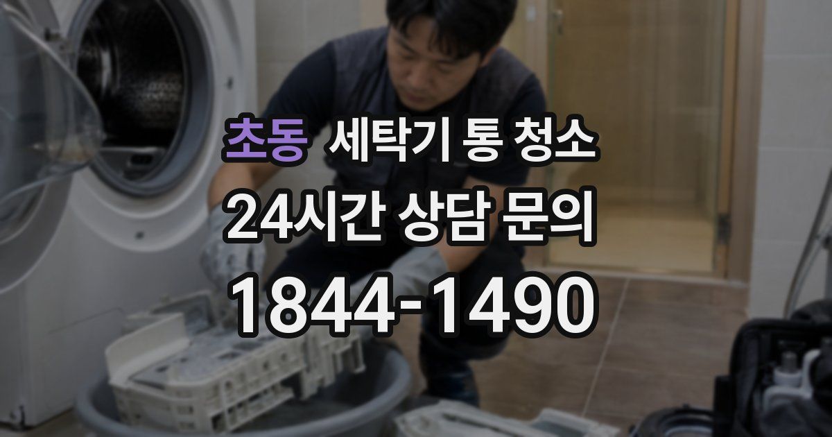초동 세탁기 통 청소