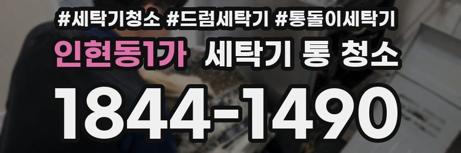 인현동1가 세탁기 통 청소