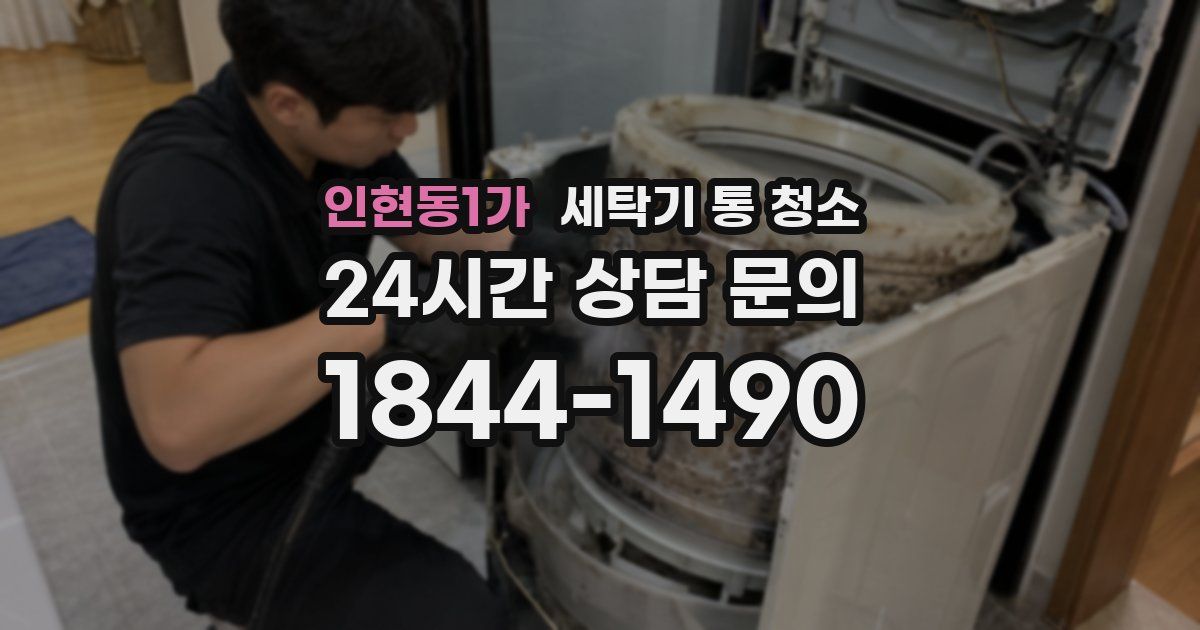 인현동1가 세탁기 통 청소